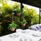 10" UV-Resistant Boston Ferns in Hanging Wicker Baskets, 3ct.